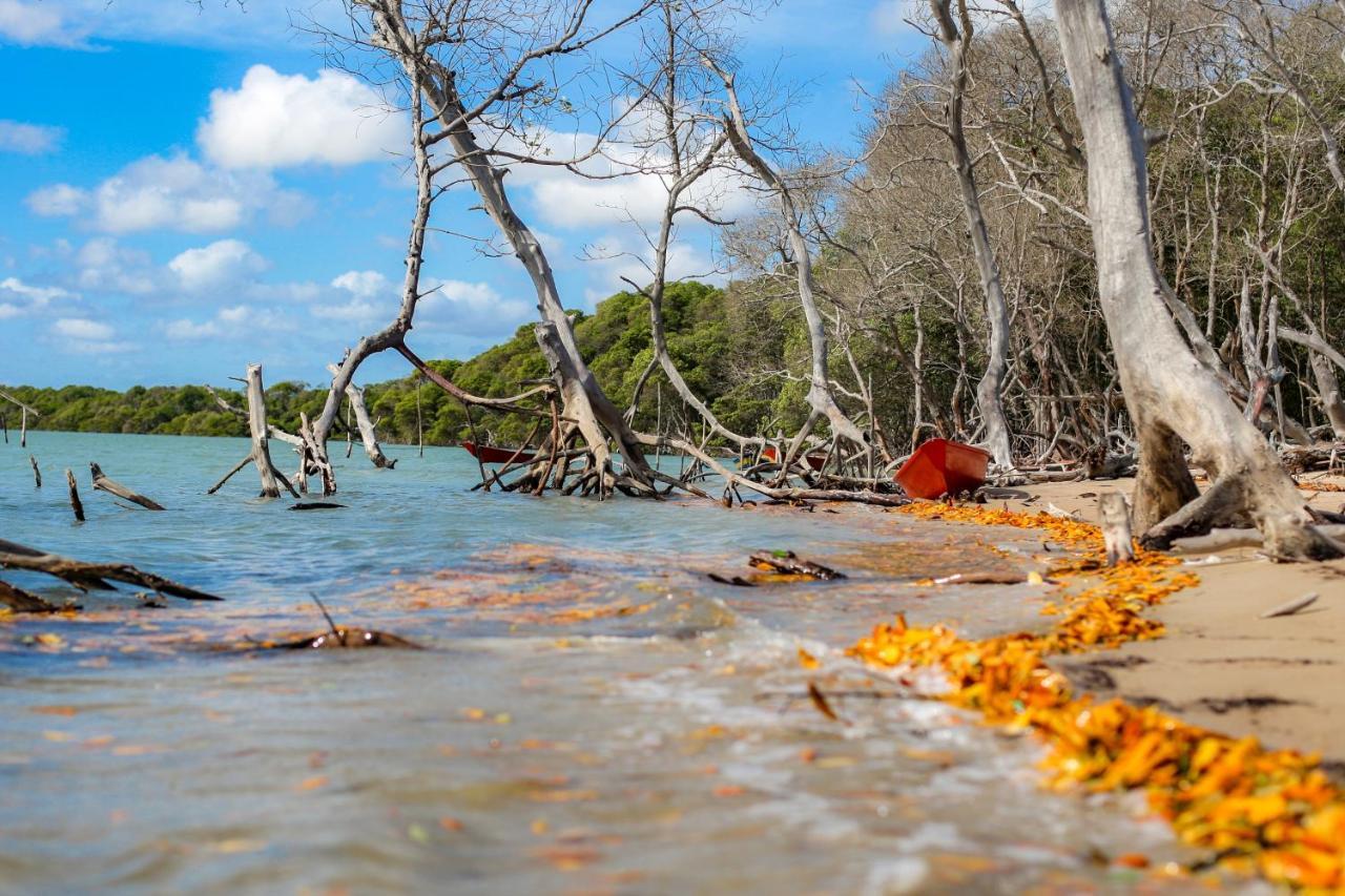 Pousada Vila Bella - Praia Do Macapa Ponta do Anel ภายนอก รูปภาพ
